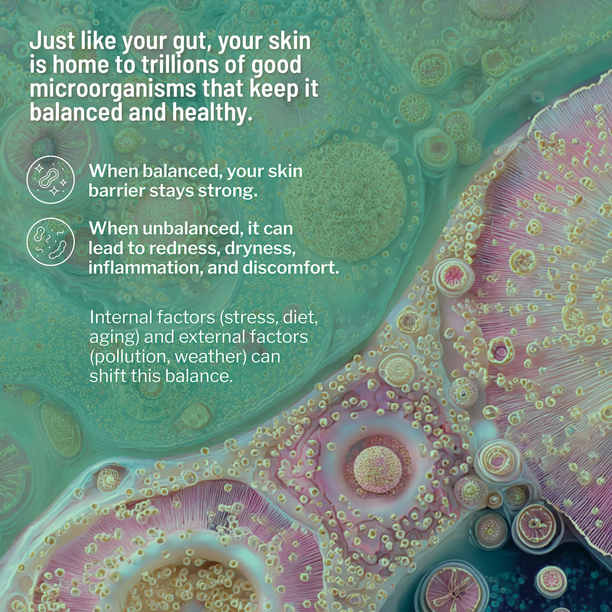 Hydro Biotic - Image 4
