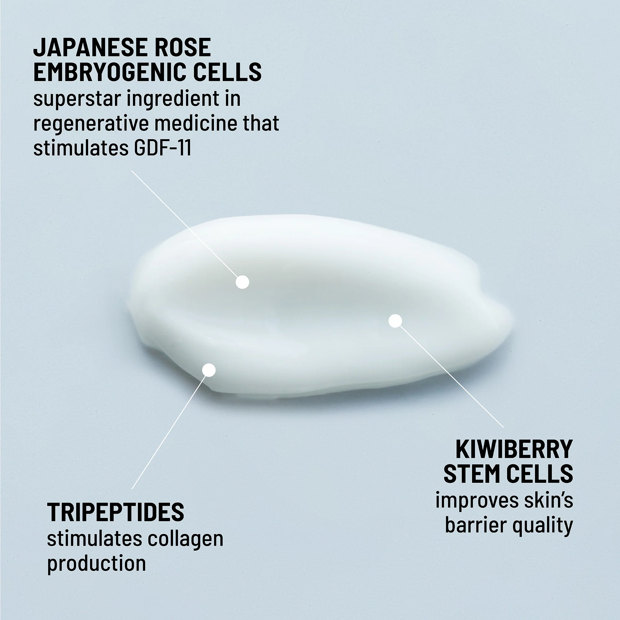 Daytime Face Firming Cream - Image 5