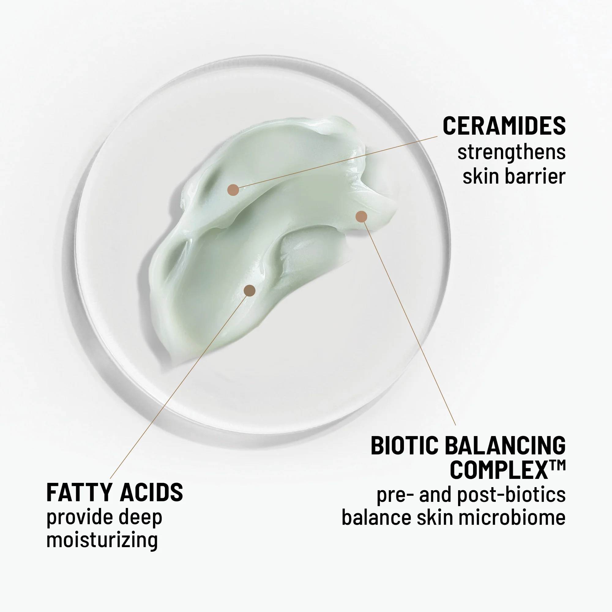 Hydro Biotic - Image 7